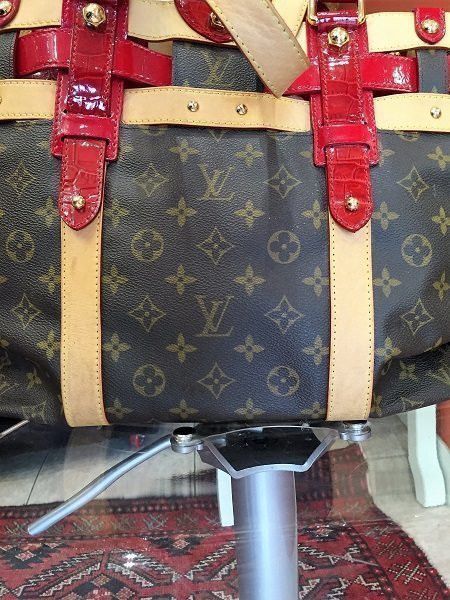 Louis Vuitton Rubis Salina Neo Bucket Bag